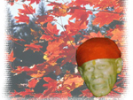 Saibaba